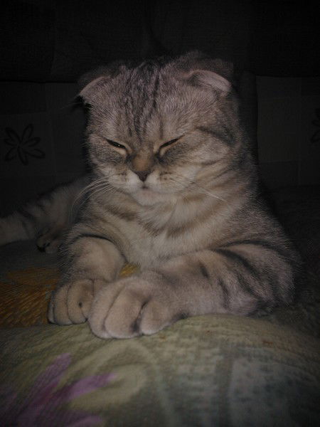 Евгений Дубачинский