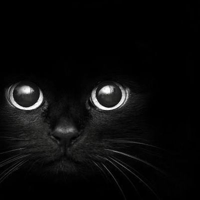 Эльмира Салихова