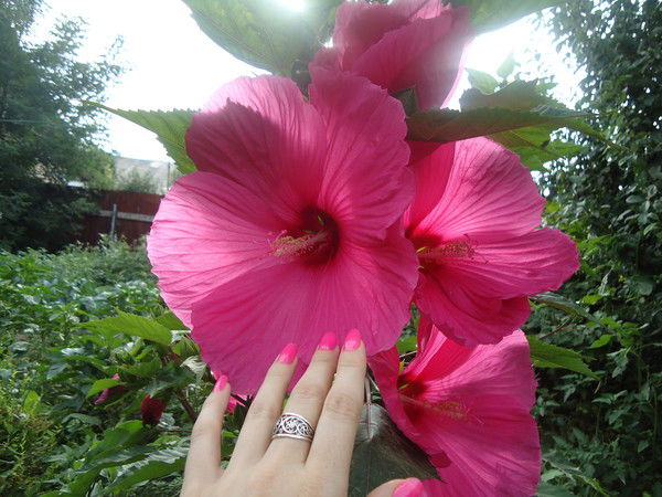 Татьяна Сидоренко