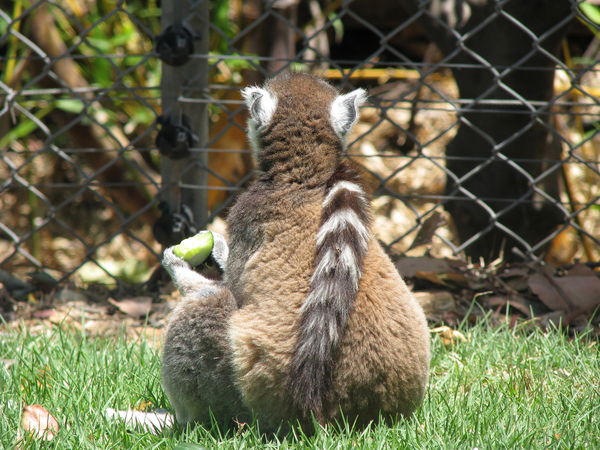 Гуля Мирзаянова