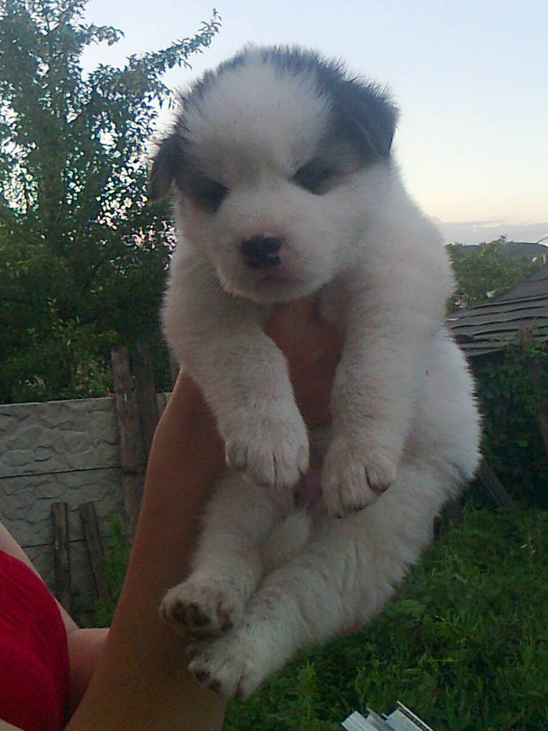 Настя Рябко