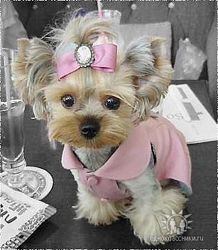 Кристина Кристина