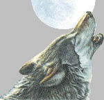 Александр Федулаев