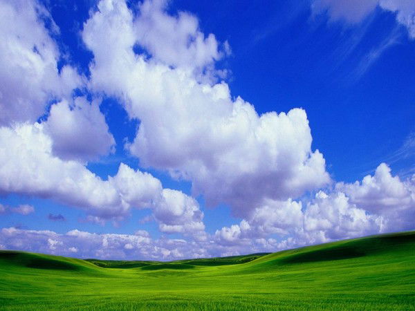 Надежда Горгелендер (Чабан)