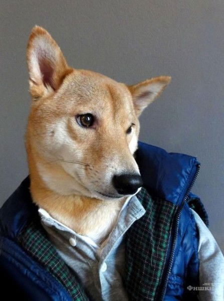 Валерий Шишигин