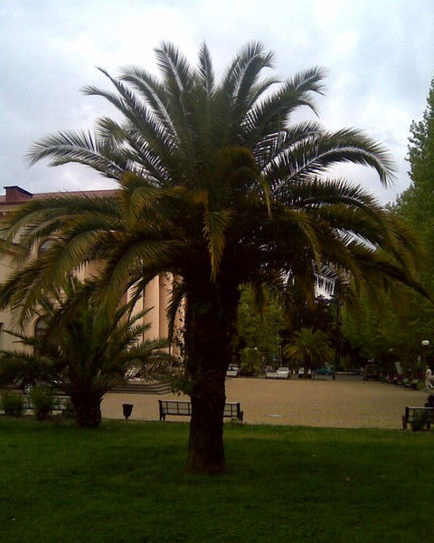 Дмитрий Авдеев