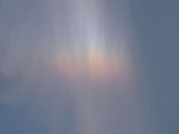 Алина Лаврикова