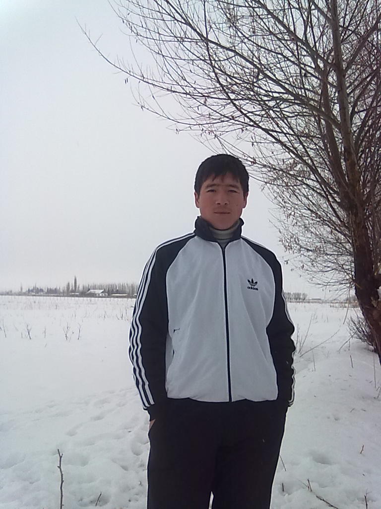 Алтын Алтын