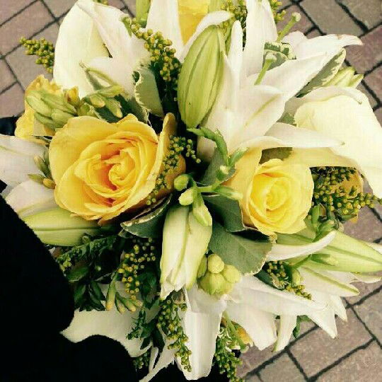 Анна Баранович