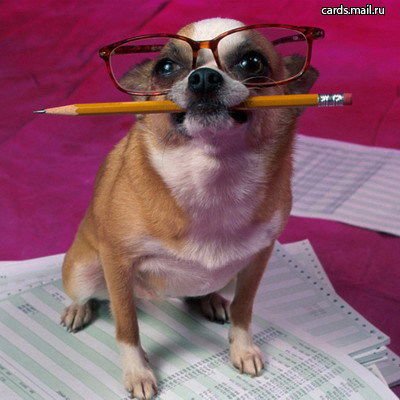 Управление Экономики