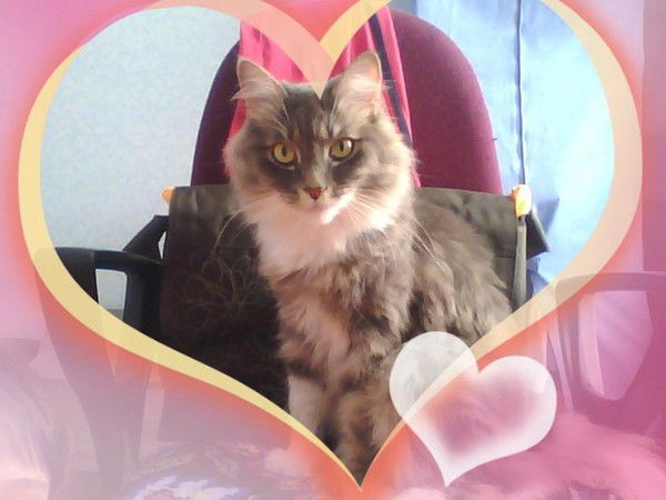 Камилла Искандарова