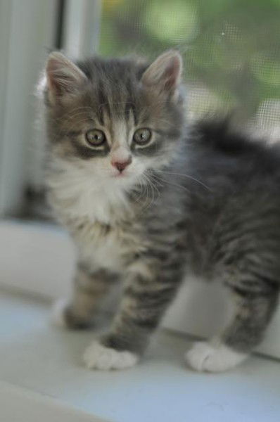 Юлия Муравьева