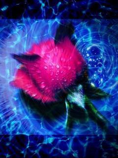 Елена Касаткина