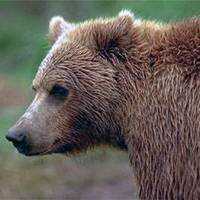 Altymuhammet Shamyradow