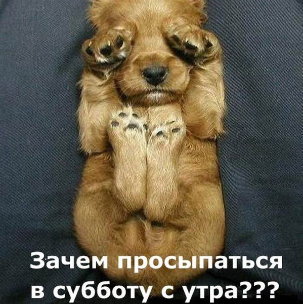 Юлия Ремизова