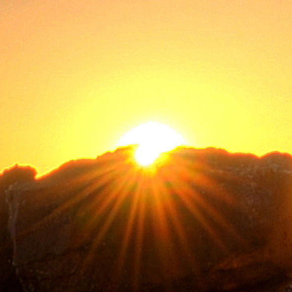 Алексей Шевцов