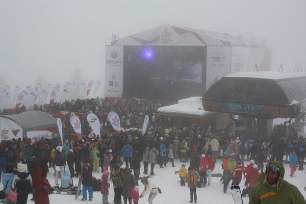 Александр Шаповал