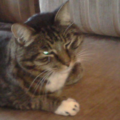 Влад Тептин