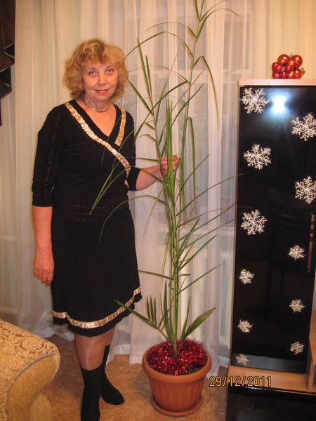 Валентина Иониди ( Ялунина )