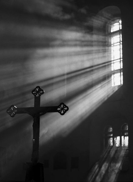 Андрей Зиборов