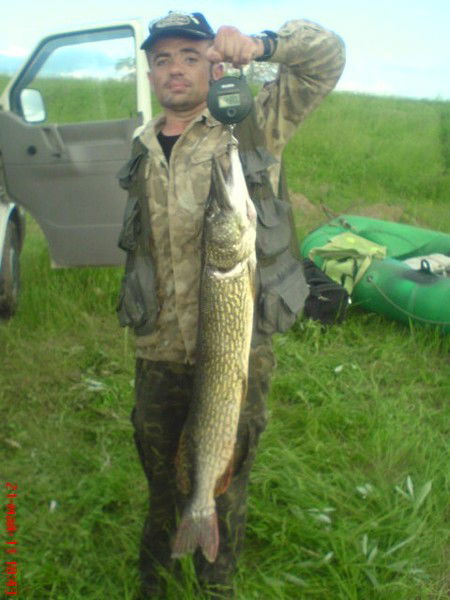 Александр Товарчий