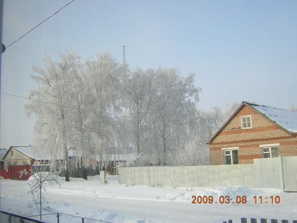 Игорь Колганов