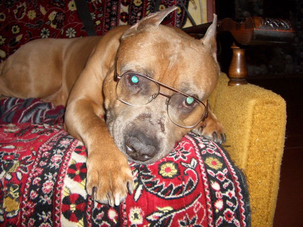 Михаил Глейбер