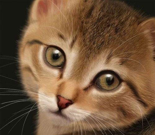 Олег Виноградов