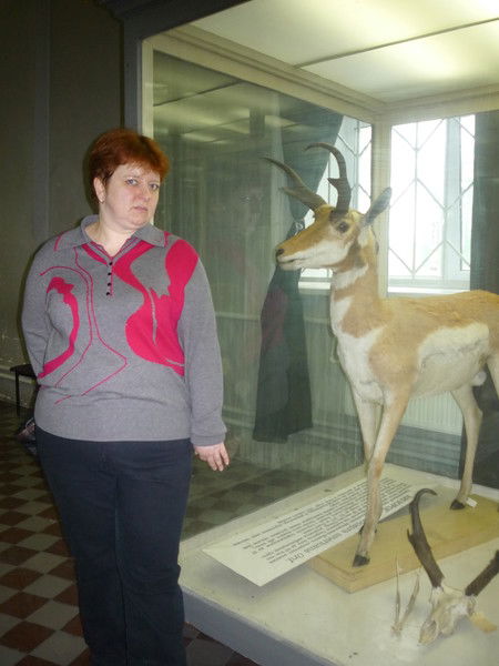 Бендер Наталия