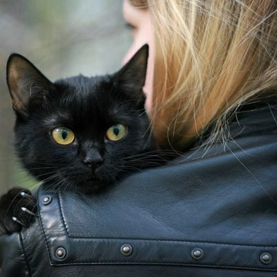 Настя Ларькова