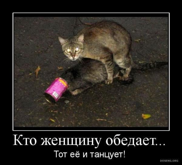 Денис Кривозубов