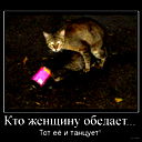 Денис Кривозубов