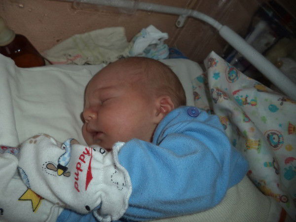 Наталья Майер