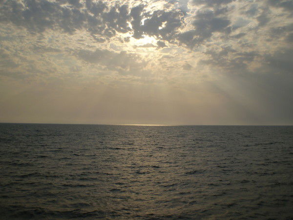 Наталия Пирог