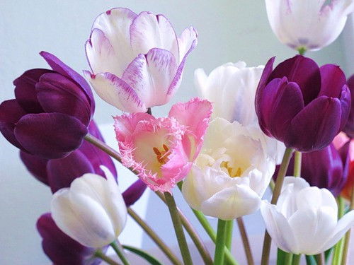 Евгения Галямова