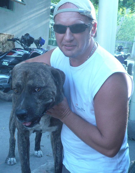 Юрий Вдовенко