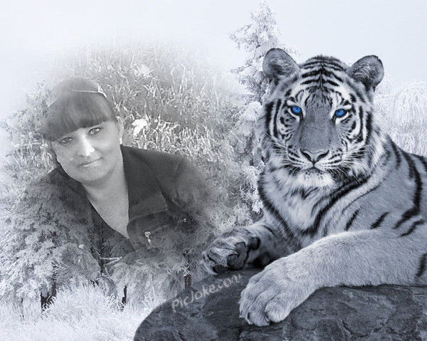 Наталья Козлова