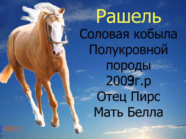 Лера Ткачёва Ткачёва