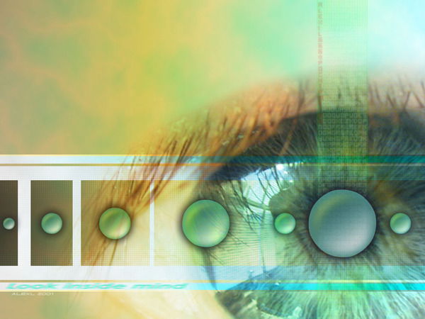 Светлана Зайцева