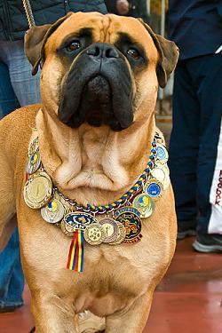 Сакина Маган