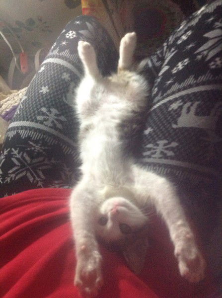 Наталия Караваева