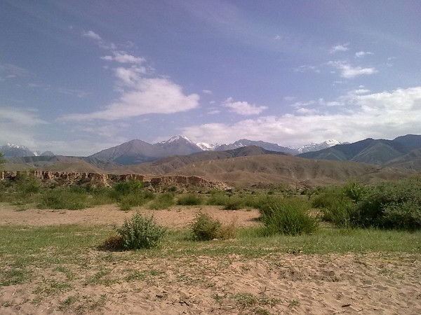 Ирина Чернова