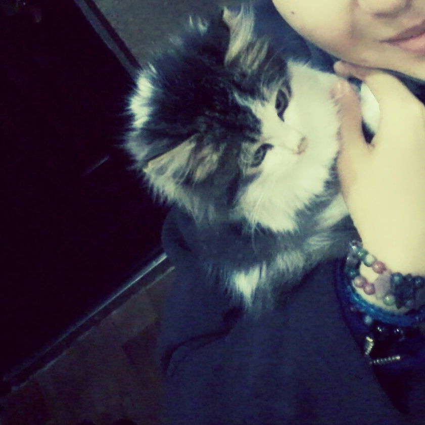 **@ikosh** *********