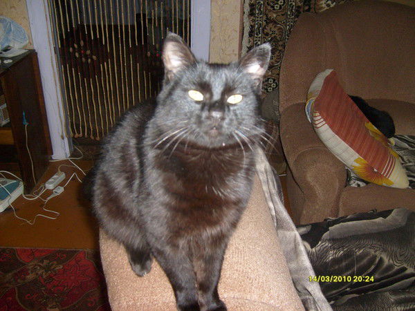 Галина Сибгатуллина