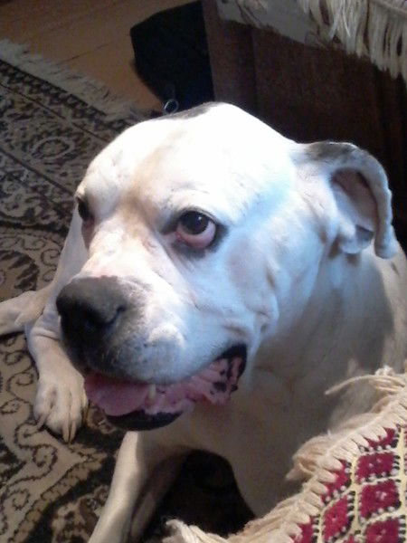 Дмитрий Салов