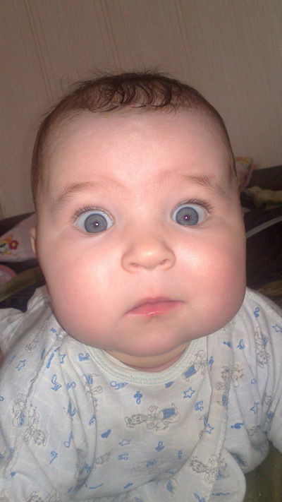 Дмитрий Дмитриев