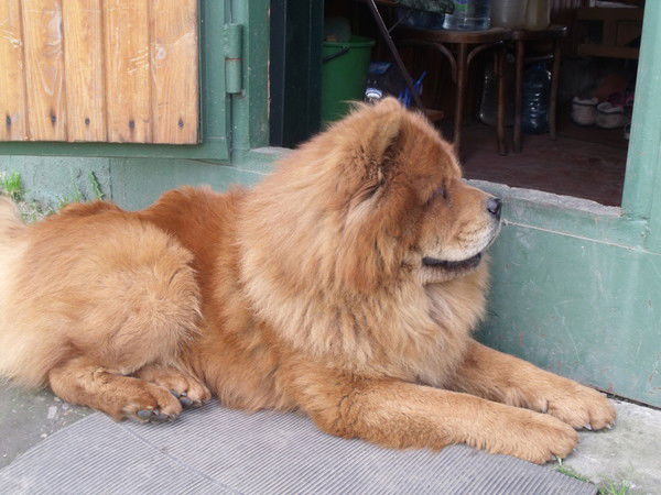 Раф Ахметов