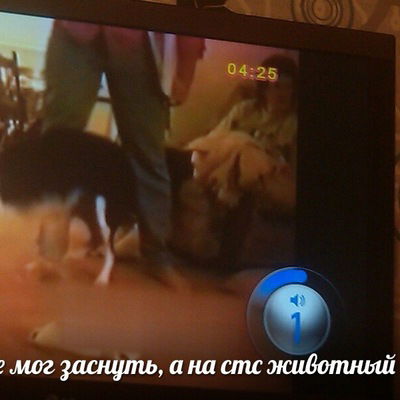 Клим Богданов