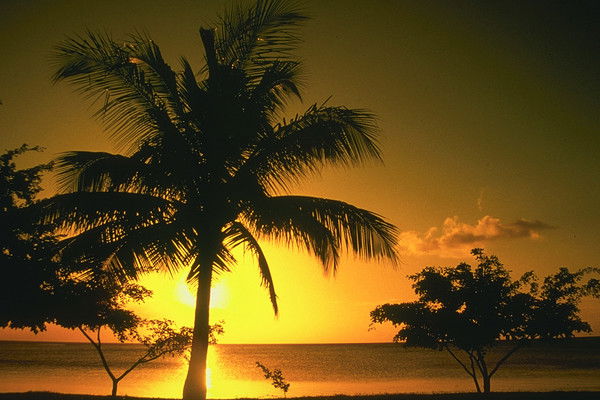 Валентина Дашиева