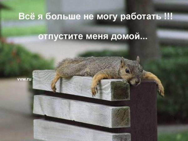 Нино Джанашия